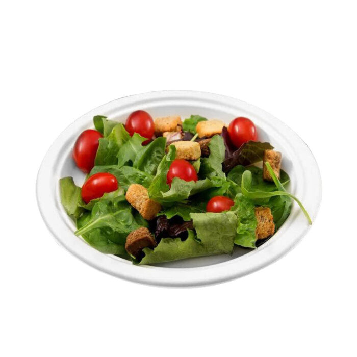 Compostable Plates - 1000 plates per case - Sold By The Case - Image 3