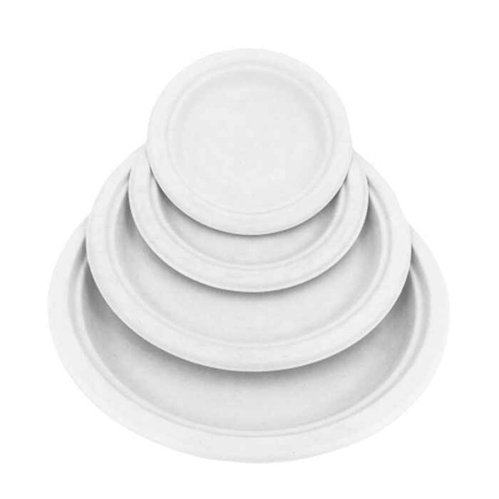 Compostable Plates - 1000 plates per case - Sold By The Case - Image 5